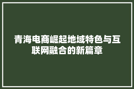 青海电商崛起地域特色与互联网融合的新篇章