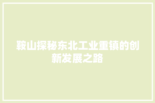鞍山探秘东北工业重镇的创新发展之路