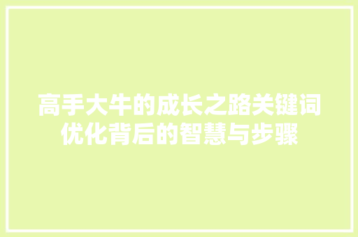 高手大牛的成长之路关键词优化背后的智慧与步骤