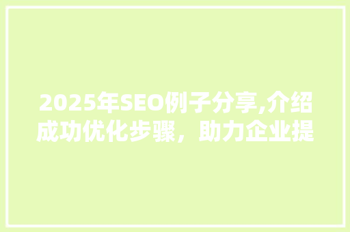 2025年SEO例子分享,介绍成功优化步骤，助力企业提升网站排名