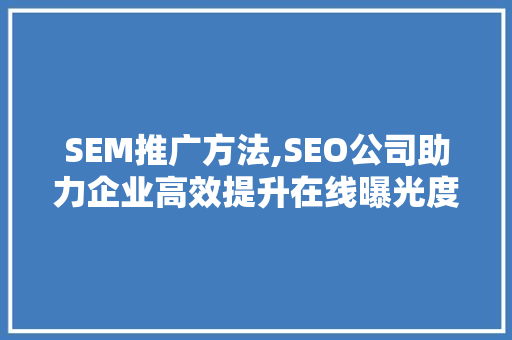 SEM推广方法,SEO公司助力企业高效提升在线曝光度