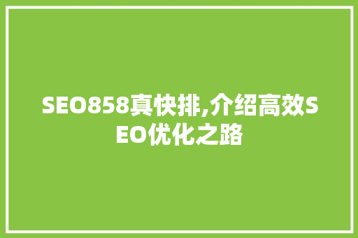SEO858真快排,介绍高效SEO优化之路