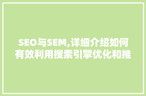 SEO与SEM,详细介绍如何有效利用搜索引擎优化和推广