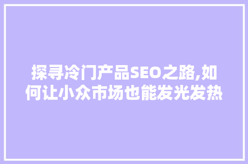 探寻冷门产品SEO之路,如何让小众市场也能发光发热