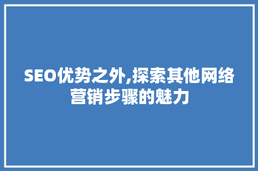 SEO优势之外,探索其他网络营销步骤的魅力
