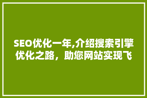 SEO优化一年,介绍搜索引擎优化之路，助您网站实现飞跃