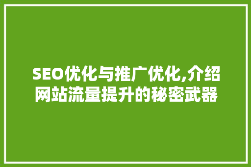SEO优化与推广优化,介绍网站流量提升的秘密武器