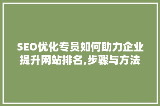 SEO优化专员如何助力企业提升网站排名,步骤与方法