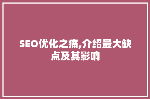 SEO优化之痛,介绍最大缺点及其影响