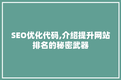 SEO优化代码,介绍提升网站排名的秘密武器