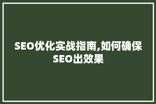 SEO优化实战指南,如何确保SEO出效果