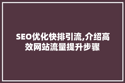 SEO优化快排引流,介绍高效网站流量提升步骤