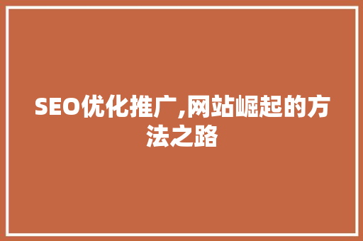 SEO优化推广,网站崛起的方法之路