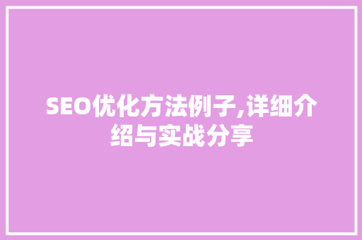 SEO优化方法例子,详细介绍与实战分享