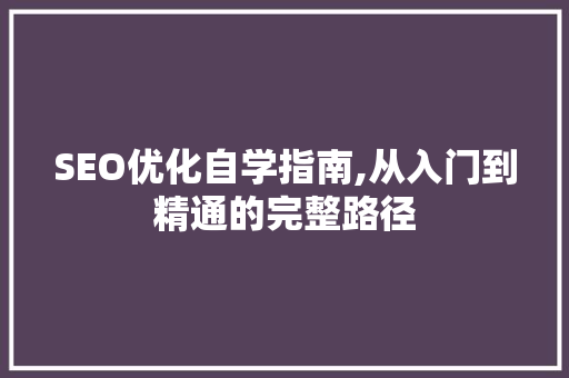 SEO优化自学指南,从入门到精通的完整路径