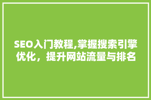 SEO入门教程,掌握搜索引擎优化，提升网站流量与排名