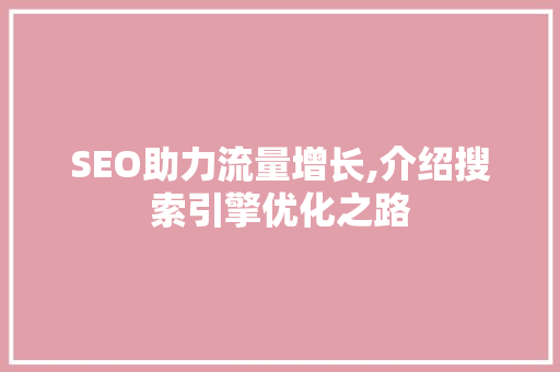 SEO助力流量增长,介绍搜索引擎优化之路