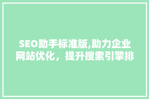 SEO助手标准版,助力企业网站优化，提升搜索引擎排名