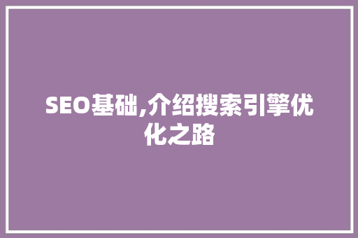 SEO基础,介绍搜索引擎优化之路