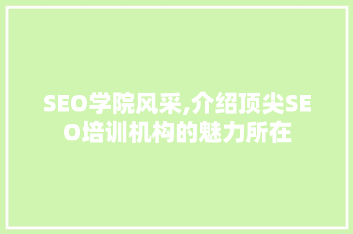 SEO学院风采,介绍顶尖SEO培训机构的魅力所在