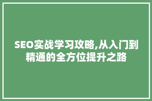 SEO实战学习攻略,从入门到精通的全方位提升之路