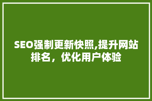 SEO强制更新快照,提升网站排名，优化用户体验