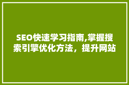 SEO快速学习指南,掌握搜索引擎优化方法，提升网站排名