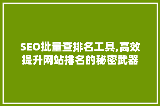 SEO批量查排名工具,高效提升网站排名的秘密武器
