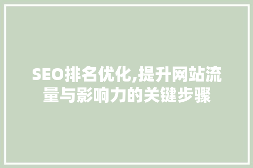 SEO排名优化,提升网站流量与影响力的关键步骤