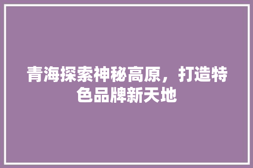 青海探索神秘高原，打造特色品牌新天地