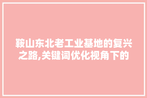 鞍山东北老工业基地的复兴之路,关键词优化视角下的城市转型与发展