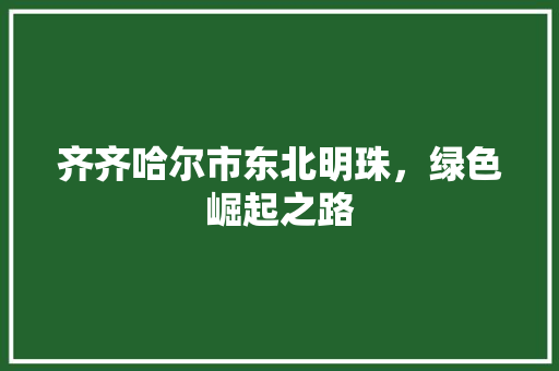 齐齐哈尔市东北明珠，绿色崛起之路 建站教程