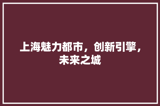 上海魅力都市，创新引擎，未来之城