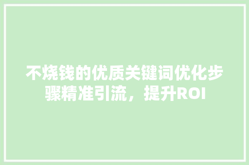 不烧钱的优质关键词优化步骤精准引流，提升ROI
