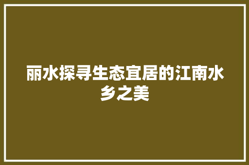 丽水探寻生态宜居的江南水乡之美 WordPress教程