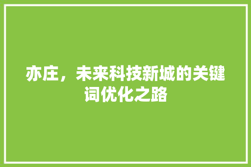 亦庄，未来科技新城的关键词优化之路