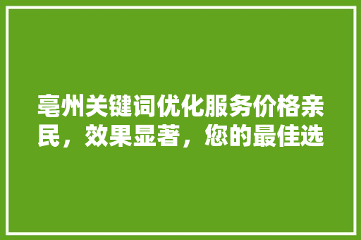 亳州关键词优化服务价格亲民，效果显著，您的最佳选择