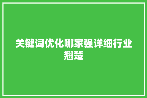 关键词优化哪家强详细行业翘楚