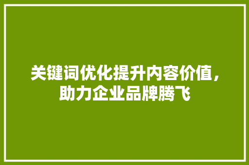 关键词优化提升内容价值，助力企业品牌腾飞