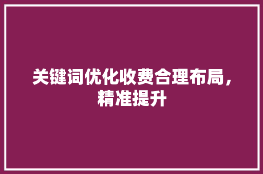 关键词优化收费合理布局，精准提升