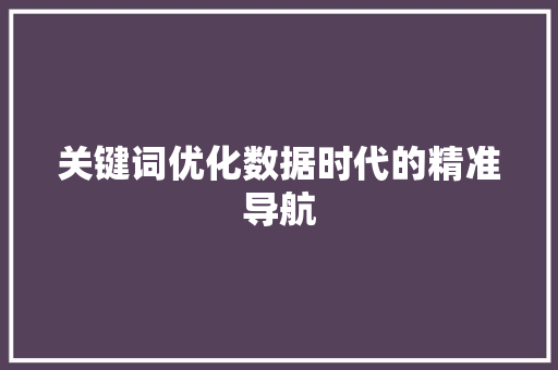 关键词优化数据时代的精准导航