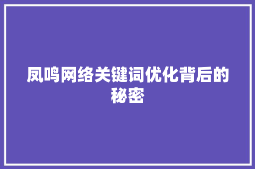 凤鸣网络关键词优化背后的秘密