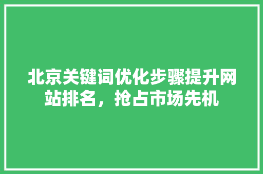 北京关键词优化步骤提升网站排名，抢占市场先机