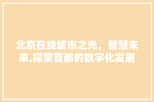 北京在线城市之光，智慧未来,探索首都的数字化发展之路