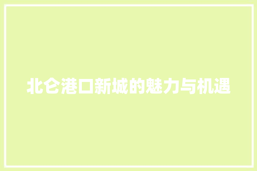 北仑港口新城的魅力与机遇