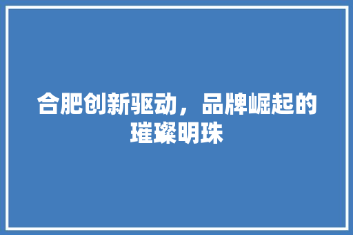 合肥创新驱动，品牌崛起的璀璨明珠