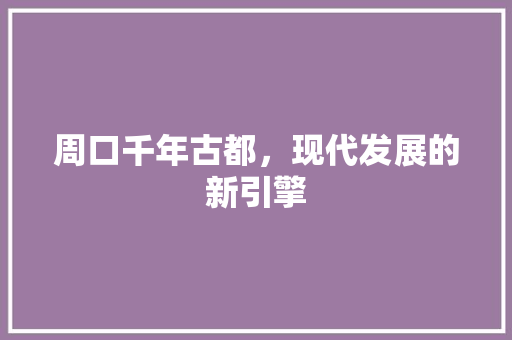 周口千年古都，现代发展的新引擎