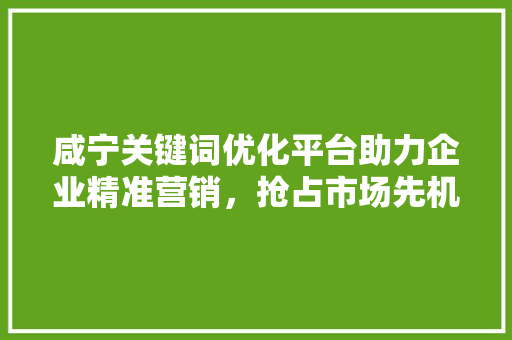 咸宁关键词优化平台助力企业精准营销，抢占市场先机