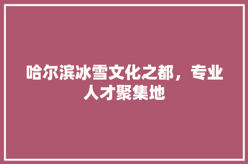 哈尔滨冰雪文化之都，专业人才聚集地