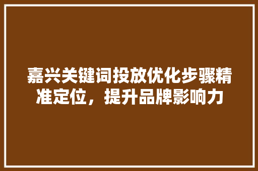 嘉兴关键词投放优化步骤精准定位，提升品牌影响力